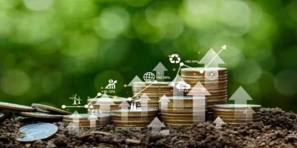 Why Financial Experts Are Focusing On Sustainable Finance
