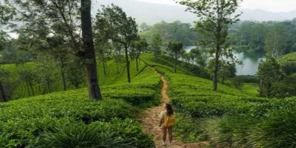 Spur-of-the-Moment Magic: Discover the Best Nearby Escapes Right Now